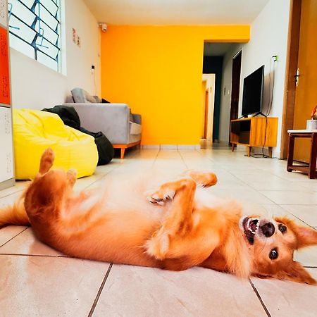 Hostel Trem Bao De Dormir Recife Eksteriør bilde