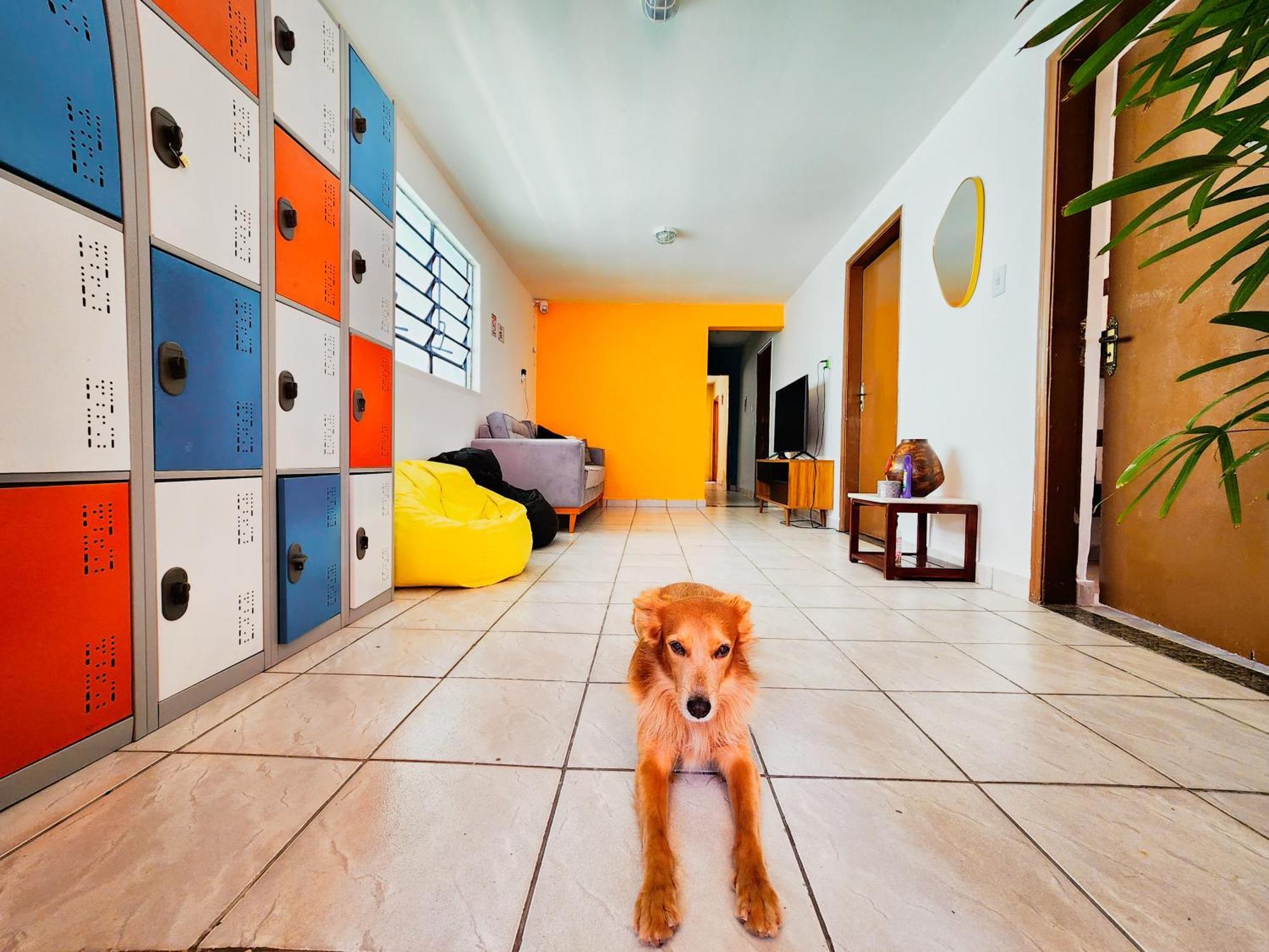 Hostel Trem Bao De Dormir Recife Eksteriør bilde